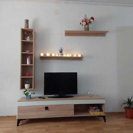 Apartament Ambrus Sighișoara Zewnętrze zdjęcie