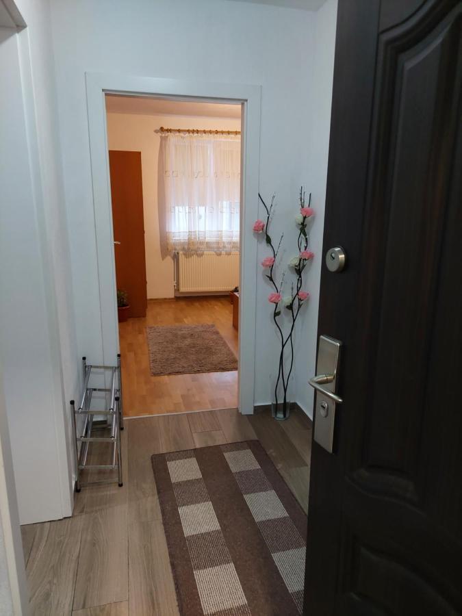 Apartament Ambrus Sighișoara Zewnętrze zdjęcie