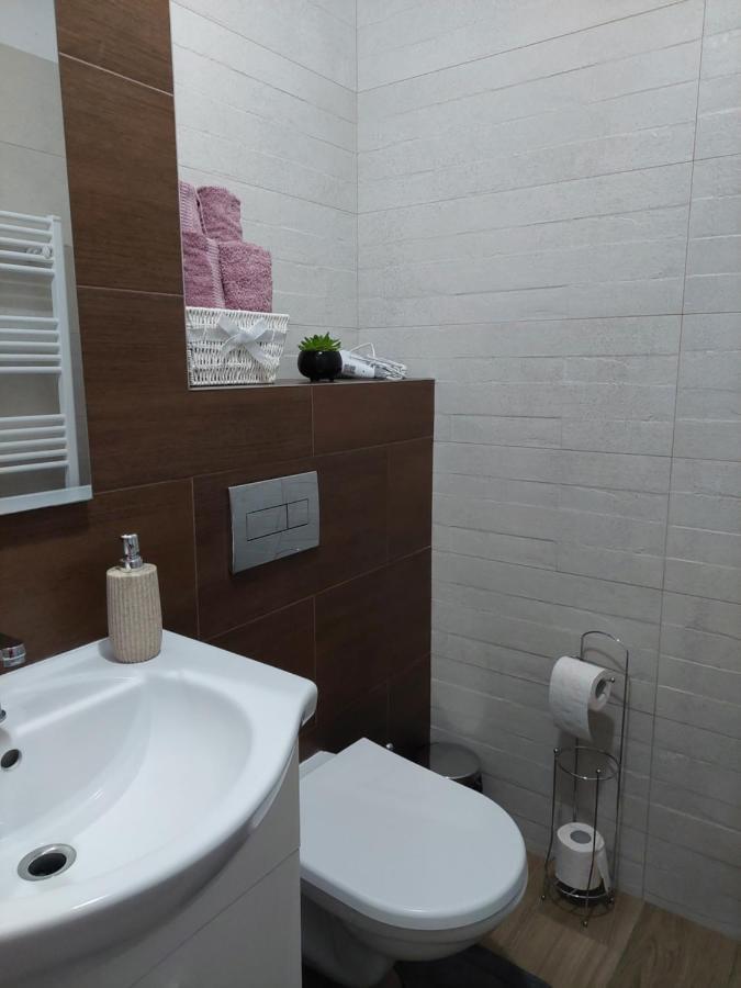 Apartament Ambrus Sighișoara Zewnętrze zdjęcie