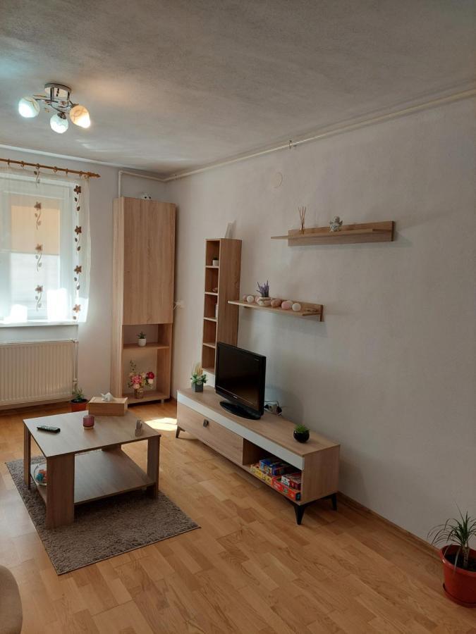 Apartament Ambrus Sighișoara Zewnętrze zdjęcie