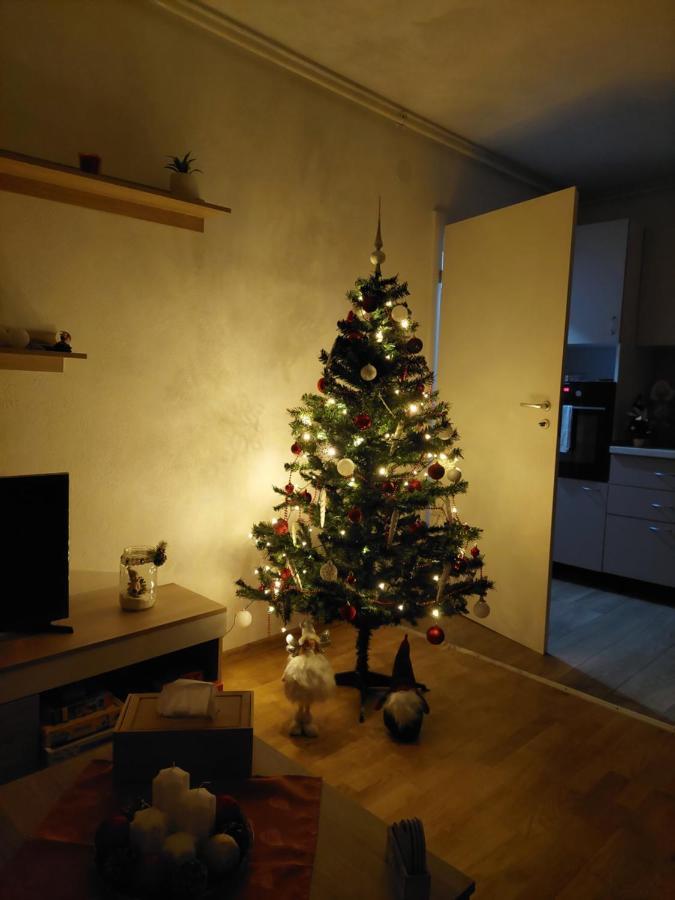 Apartament Ambrus Sighișoara Zewnętrze zdjęcie